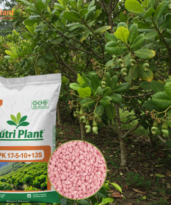 NPK 17-5-10+13S NUTRIPLANT