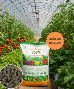 Hữu cơ Bỉ 70OM-NUTRIPLANT