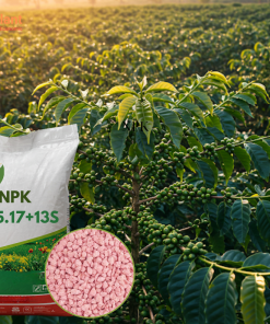 NPK 14-5-17+13S NUTRIPLANT