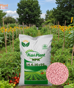 NPK 14-6-16+9S NUTRIPLANT