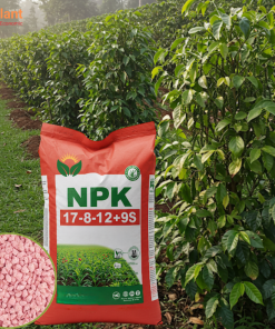 NPK 17-8-12+9S NUTRIPLANT