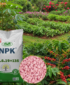 NPK 17-6-19+13S Nutriplant 