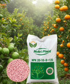 NPK 20-10-8+13S NUTRIPLANT