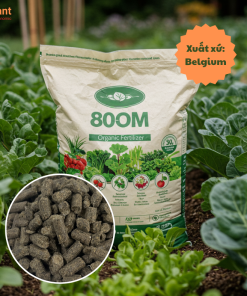 Hữu cơ Bỉ 80OM-NUTRIPLANT