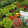 Kali miễng 61%-NUTRIPLANT