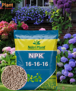 NPK 16.16.16 cho các loại hoa-NUTRIPLANT