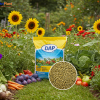 DAP-NUTRIPLANT