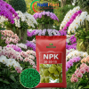 NPK 20-20-15 cho Hoa Lan- NUTRIPLANT