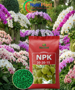 NPK 20-20-15 cho Hoa Lan- NUTRIPLANT