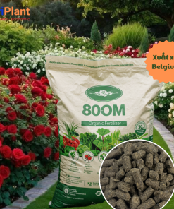 Hữu cơ Bỉ 80OM-NUTRIPLANT