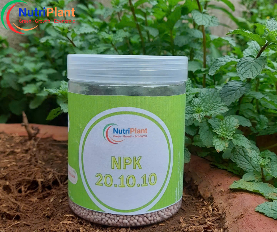 NPK 20-10-10 Nga - NUTRIPLANT - Ảnh 3