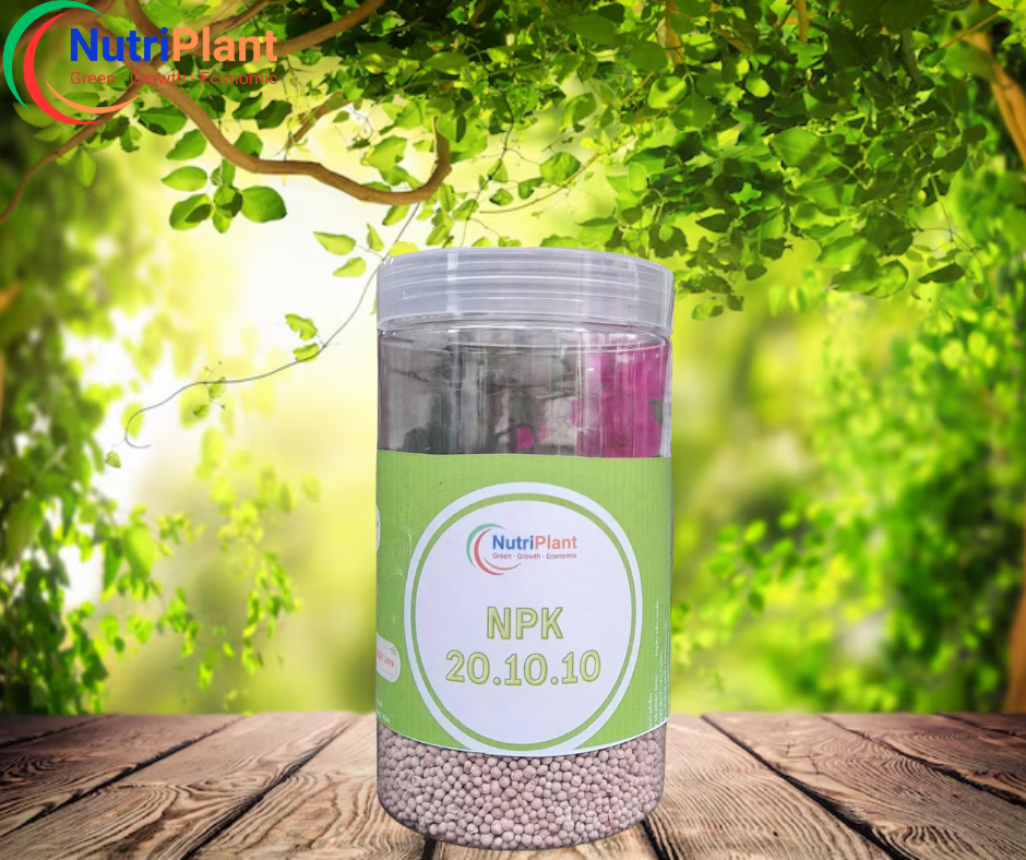 NPK 20-10-10 Nga - NUTRIPLANT - Ảnh 4