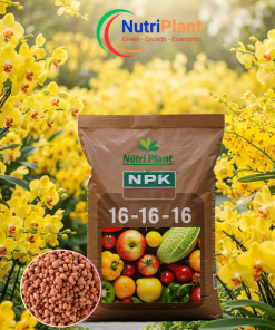 NPK 16-16-16 cho Hoa Lan - NUTRIPLANT