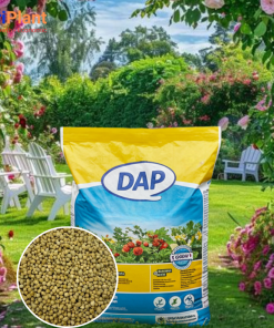 DAP cho các loại hoa-NUTRIPLANT