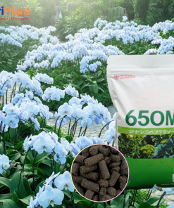 Hữu cơ Nhật 65OM cho Hoa Lan - NUTRIPLANT