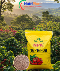 NPK 16-16-08 Nga - NUTRIPLANT