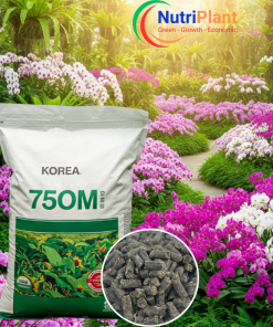 Hữu cơ Hàn 75OM cho Hoa Lan - NUTRIPLANT