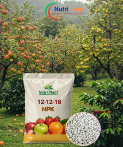 NPK 12-12-18 - NUTRIPLANT