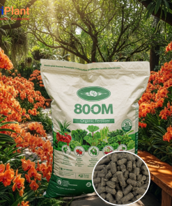 Hữu cơ Bỉ 80OM cho Hoa Lan - NUTRIPLANT