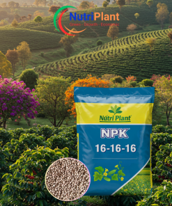 NPK 16-16-16 Nga - NUTRIPLANT