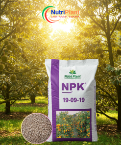NPK 19-09-19 Nga - NUTRIPLANT