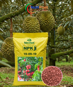 NPK 19-09-19 - NUTRIPLANT