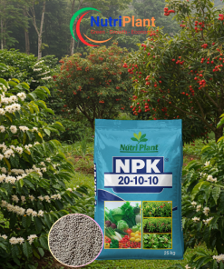 NPK 20-10-10 Nga - NUTRIPLANT