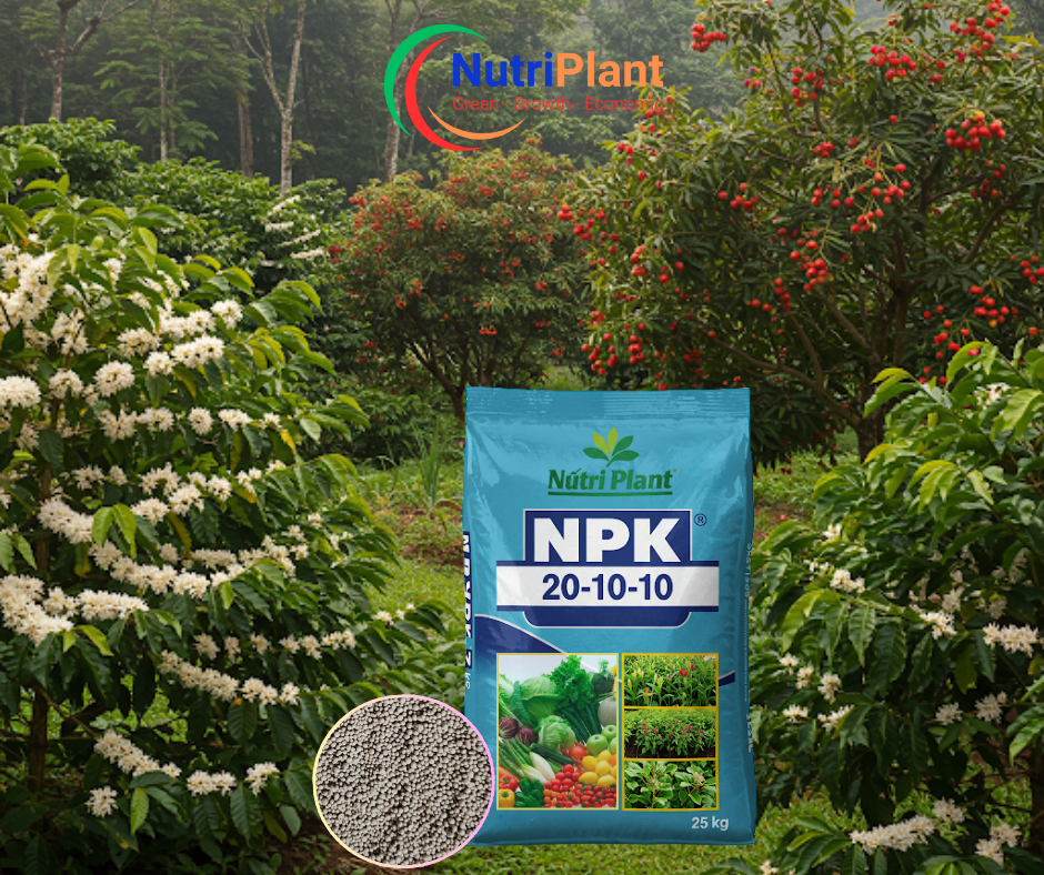 NPK 20-10-10 Nga - NUTRIPLANT