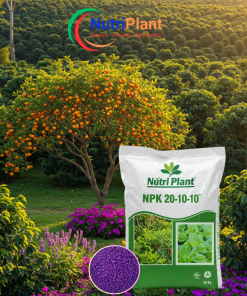 NPK 20-10-10 - NUTRIPLANT