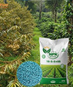 NPK 18-5-5+9S NUTRIPLANT