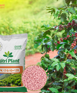 NPK 17-5-10+13S NUTRIPLANT