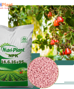NPK 14-6-16+9S-NUTRIPLANT