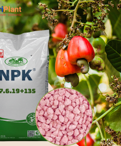 NPK 17-6-19+13S cho cây điều-NUTRIPLANT