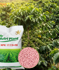 NPK 17-7-9+9S NUTRIPLANT