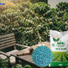 NPK 18-5-5+9S NUTRIPLANT