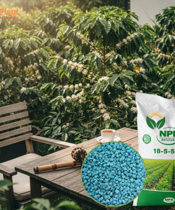NPK 18-5-5+9S NUTRIPLANT