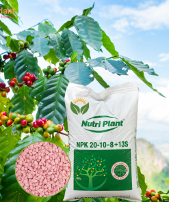 NPK 20-10-8+13S NUTRIPLANT
