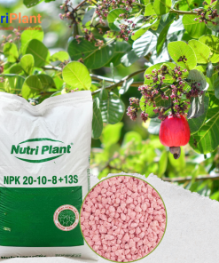 NPK 20-10-8+13S-NUTRIPLANT