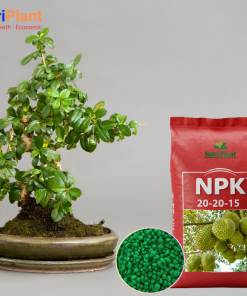 NPK 20.20.15 NUTRIPLANT