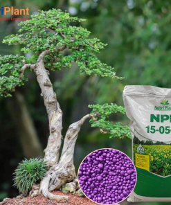 NPK 15.5.20 NUTRIPLANT