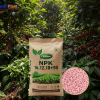 NPK 16-12-18+9S NUTRIPLANT