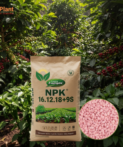 NPK 16-12-18+9S NUTRIPLANT