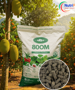 HỮU CƠ BỈ 80OM - NUTRIPLANT