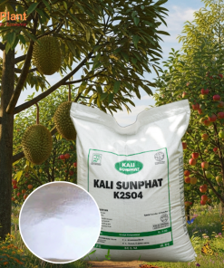 KALI SUNPHAT (K2SO4) - NUTRIPLANT
