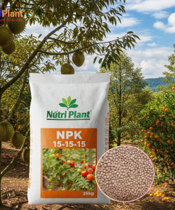 NPK 15-15-15 NGA Cây Ăn Trái - NUTRIPLANT