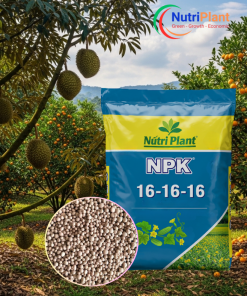 NPK 16-16-16 NGA Cây Ăn Trái - NUTRIPLANT