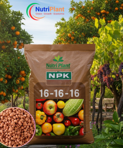 NPK 16-16-16 Cây Ăn Trái - NUTRIPLANT