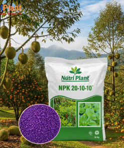 NPK 20-10-10 Cây Ăn Trái - NUTRIPLANT