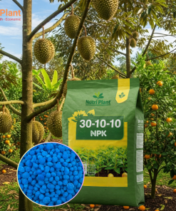 NPK 30-10-10 Cây Ăn Trái - NUTRIPLANT