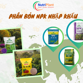 NPK Nhập Nutriplant